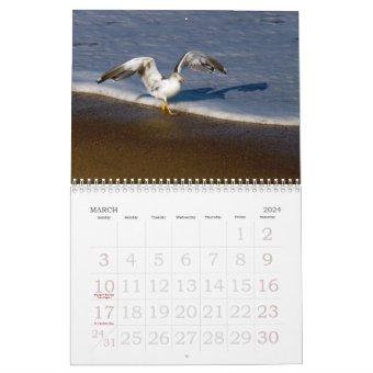 The Outer Banks Calendar | Zazzle