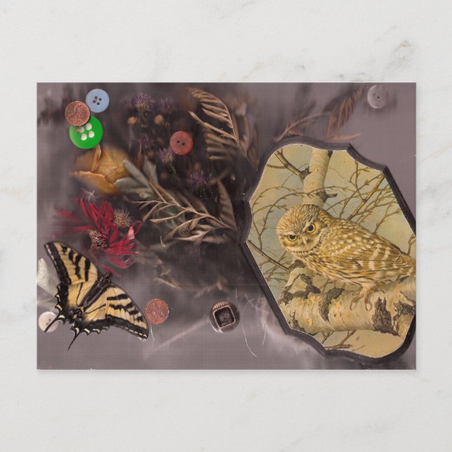 the owl and the butterfly postcard (Front)