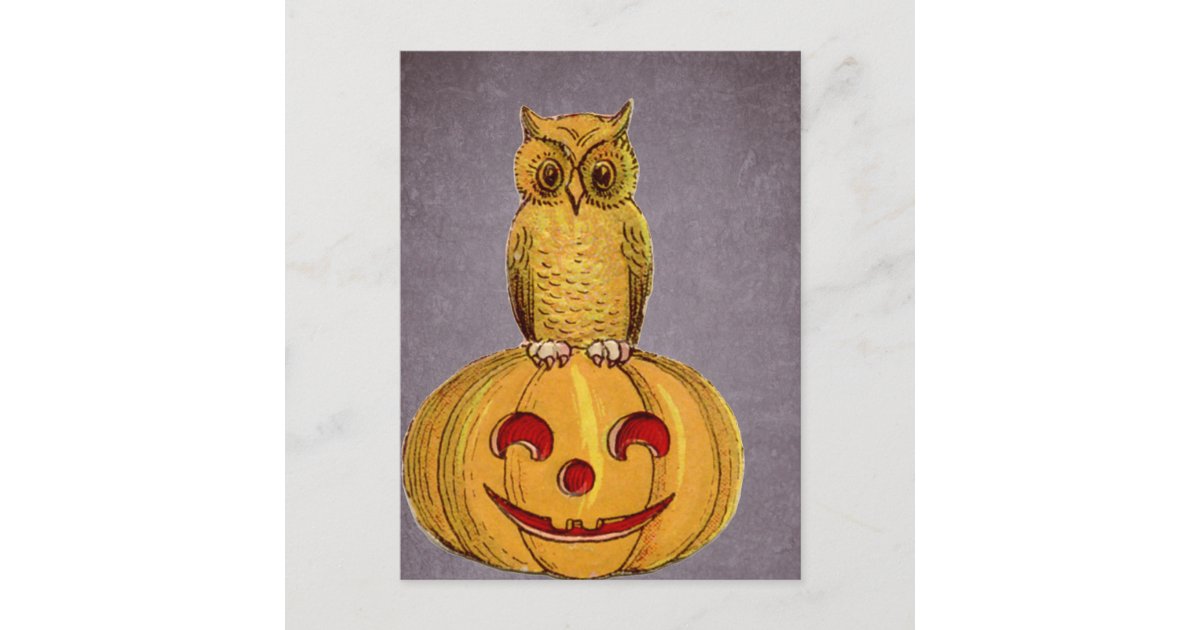 The Owl and the Jack O Lantern Postcard | Zazzle