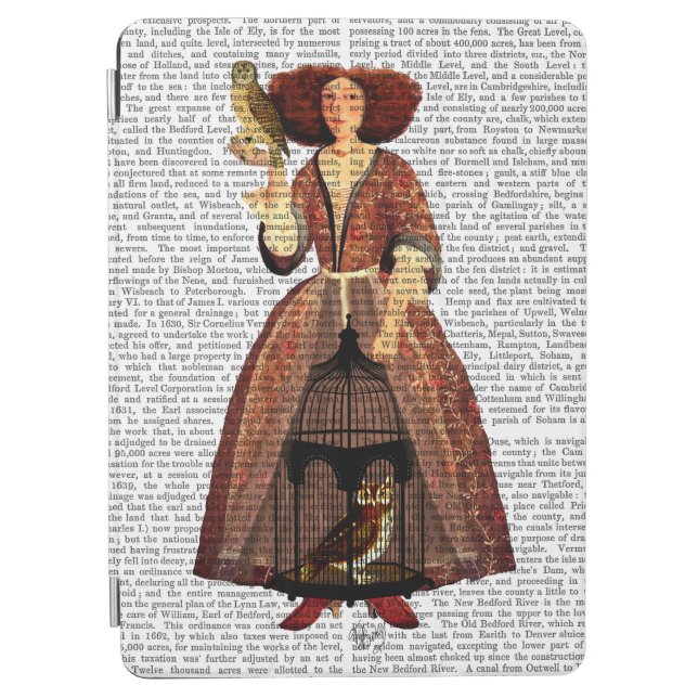 The Owl Lady iPad Air Cover (Front)