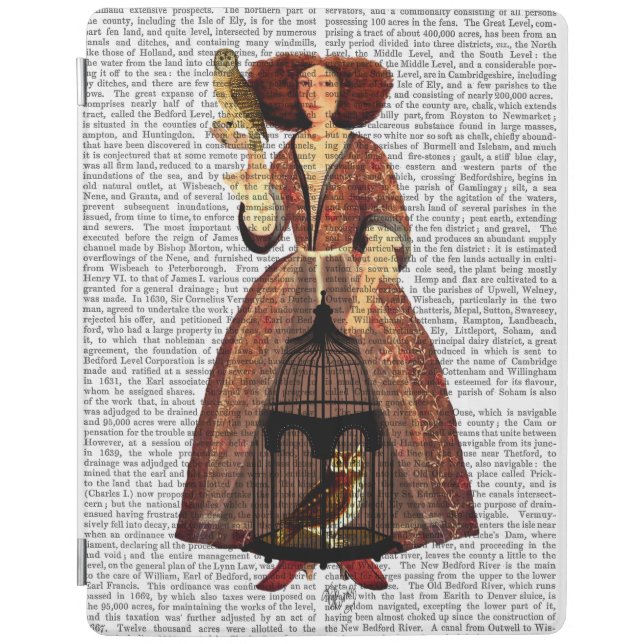 The Owl Lady iPad Air Cover (Front)