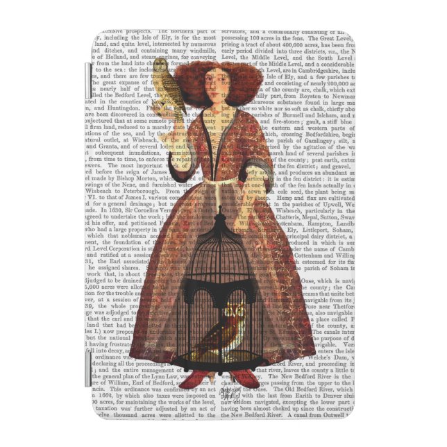 The Owl Lady iPad Mini Cover (Front)