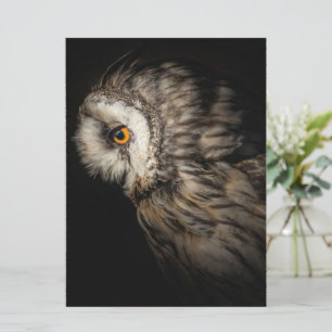 The Owl Mystical Eye Owl Lovers Gift