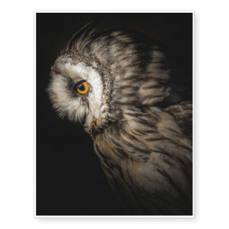 The Owl Mystical Eye | Owl Lovers Gift Temporary Tattoos