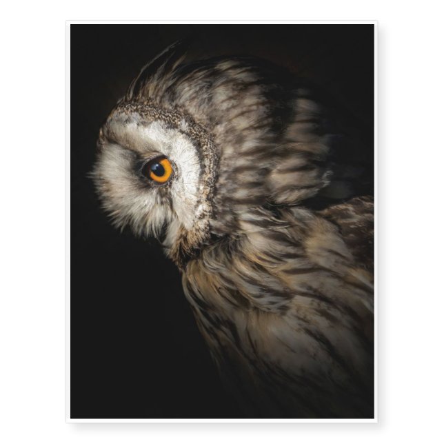 The Owl Mystical Eye | Owl Lovers Gift Temporary Tattoos (Front)