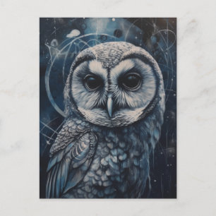 The Owl Postcard