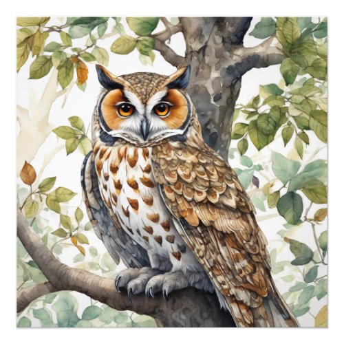 The Owl Wildlife Illustrative Poster