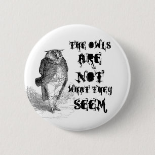 The owls are NOT what they seem. Button