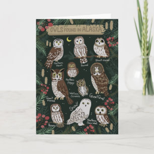 The Owls found in Alaska Greeting Card