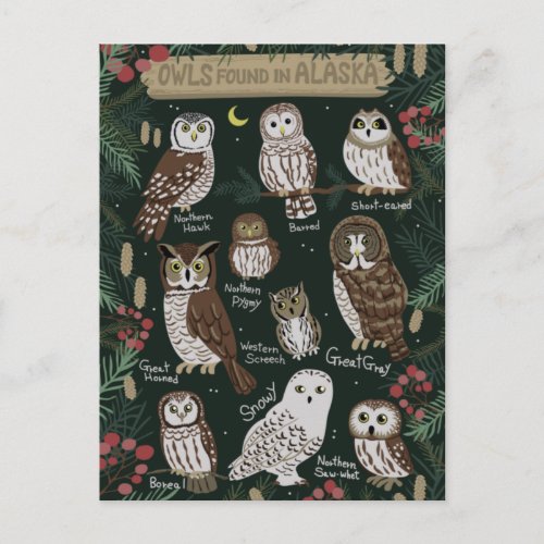 The Owls found in Alaska Postcard
