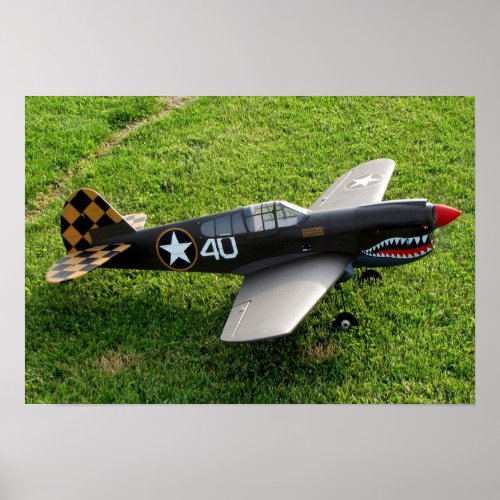 The P_40 Warbird Poster