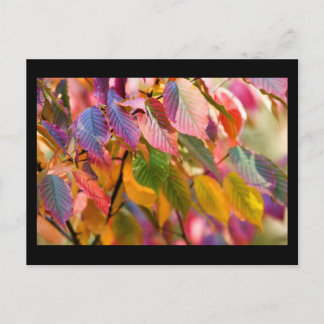 the pains of autumn postcard