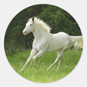 The Paint in Motion Classic Round Sticker