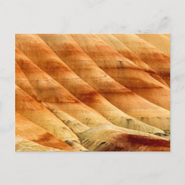 The Painted Hills In The John Day Fossil Beds 2 Postcard (Front)