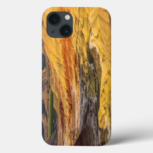 The Painted Hills In The John Day Fossil Beds 3 iPhone 13 Case