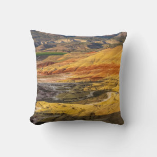 The Painted Hills In The John Day Fossil Beds 3 Throw Pillow