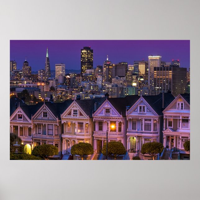 The Painted Ladies Poster (Front)