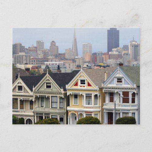 The Painted Ladies  Skyline  San Francisco CA Postcard