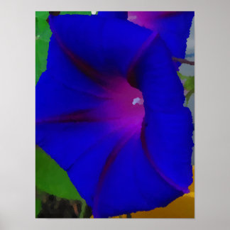 The Painted Morning Glory Poster