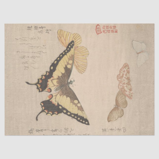 The Painting Manual Flock of Butterflies, Shunman Tissue Paper (Front)