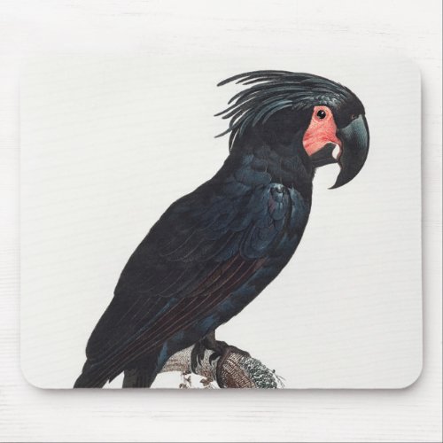 The Palm Cockatoo Black Parrot Mouse Pad