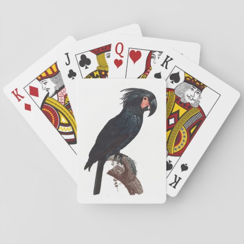 The Palm Cockatoo Probosciger aterrimus Parrot Poker Cards