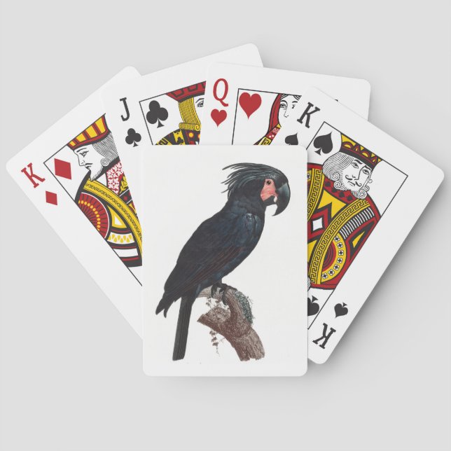 The Palm Cockatoo, Probosciger aterrimus Parrot Poker Cards (Back)