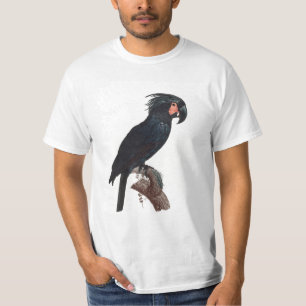 The Palm Cockatoo, Probosciger aterrimus Parrot T- T-Shirt