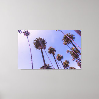 The Palms  - Canvas