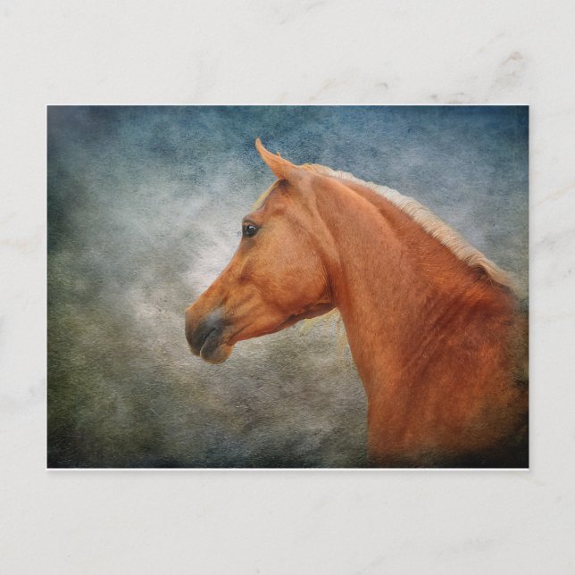 The Palomino Postcard (Front)