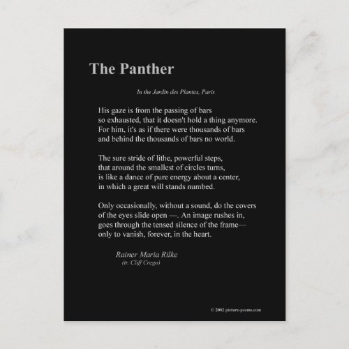 THE PANTHER POSTCARD