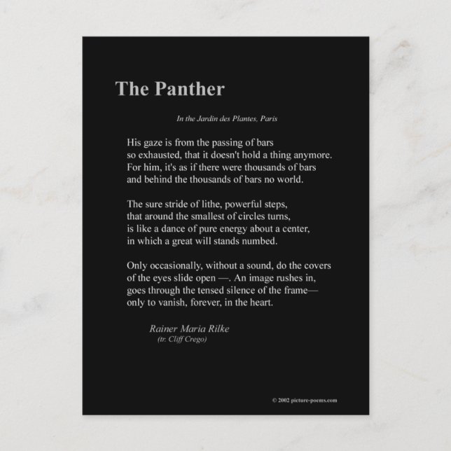 THE PANTHER POSTCARD (Front)