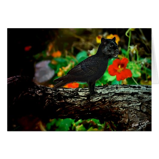 The Panthraven (Front Horizontal)