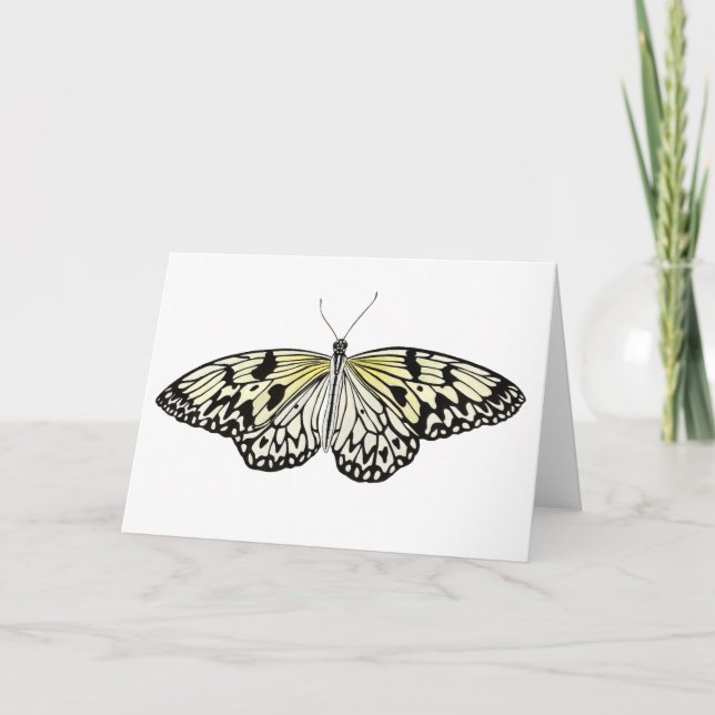 The Paper Kite Butterfly Card (Front)