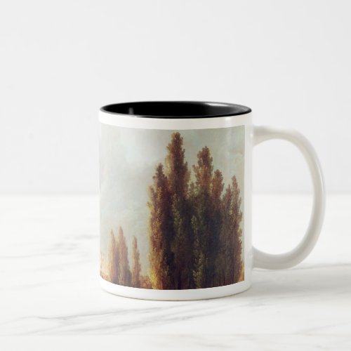 The Park and Chateau at Mereville Two_Tone Coffee Mug