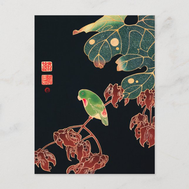 The Paroquet Colorful Bird Japanese illustration Postcard (Front)