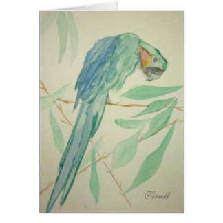 The Parrot Cards