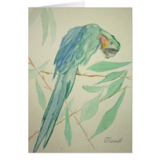 The Parrot Cards (Front)