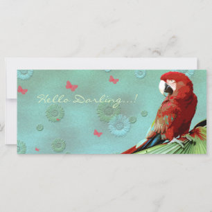 THE PARROT ~ Greeting Card / Postcard