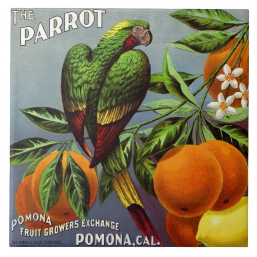 The Parrot Tile