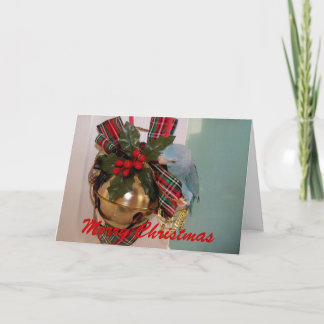 The Parrotlets Merry Christmas Greeting Card