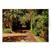 The Path (Front Horizontal)