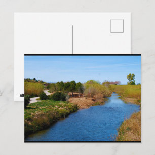 The Path Along the Túria River Postcard
