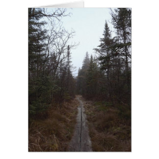 the Path Cards