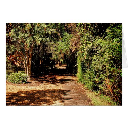 The Path Cards (Front Horizontal)