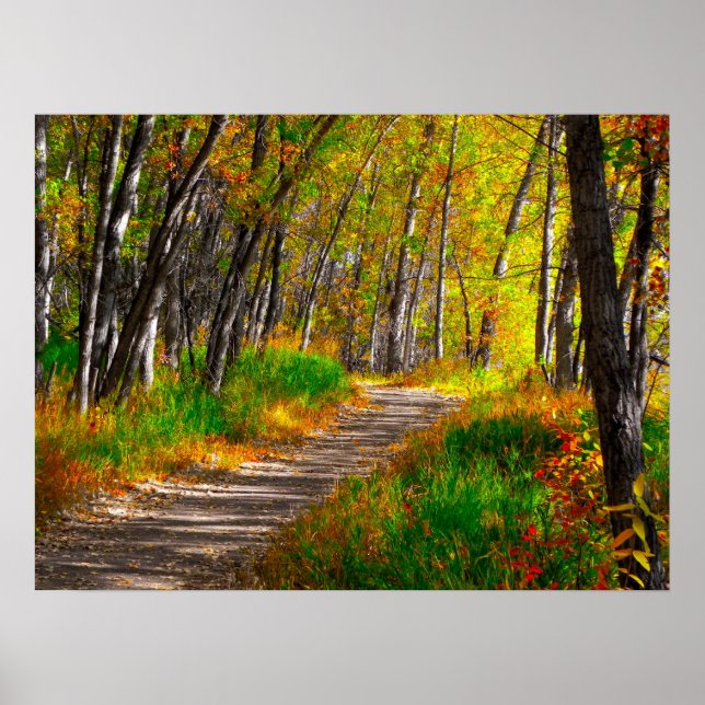 The Path Poster (Front)