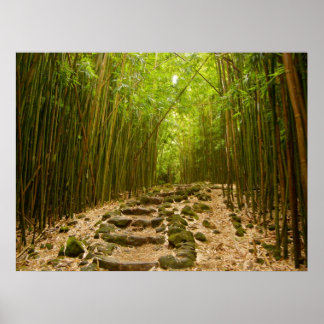 The Path Poster