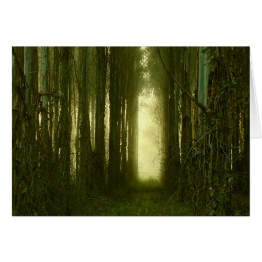 The Path to My Heart (Front Horizontal)