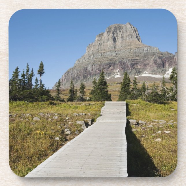 The pathway to the view of Hidden Lake Beverage Coaster (Front)