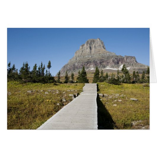 The pathway to the view of Hidden Lake Cards (Front Horizontal)